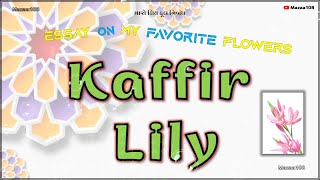 Kaffir Lily Flower  Essay on Kaffir Lily Flower  My Favourite Flower Kaffir Lily  Kaffir Lily [upl. by Solracnauj]