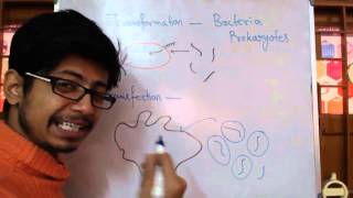 Transformation Vs Transfection [upl. by Breanne]