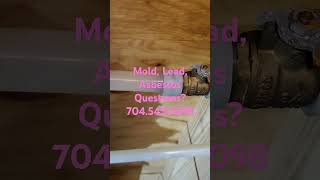 Wood Rot Mold Testing Mold Remediation ExecutiveRestorationcom [upl. by Suivat960]