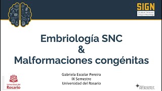 Embriología del SNC y malformaciones congénitas [upl. by Esdras58]