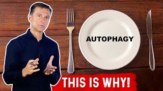 What Is Autophagy amp The Real Reason Why It Exists – DrBerg [upl. by Yuille]