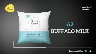 Sids Farm Fresh Milk  A2 Buffalo Milk  A2 Desi Cow Milk  Cow Milk  A2 Buffalo Double Toned Milk [upl. by Aleira]