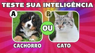 QUIZ INFANTIL SOBRE ANIMAIS  05 PERGUNTAS E RESPOSTAS [upl. by Elmira690]