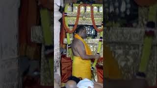 Rayara Darshana gururaghavendraswamy brindavanam mantralaya [upl. by Aciretnahs]