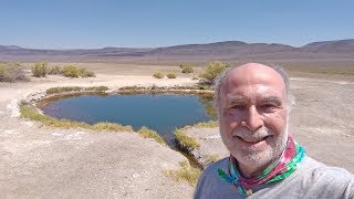 Mickey Hot Springs Oregon [upl. by Averir]