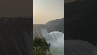 Srisailam templenallamallaforest dindidamomnamahshivaya youtubeshorts blessed [upl. by Aynotak766]