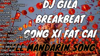 DJ FULL MANDARIN SONG 2022  GONG XI FAT CAI BREAKBEAT PARTY XING NIAN KUAI LE [upl. by Lucania]