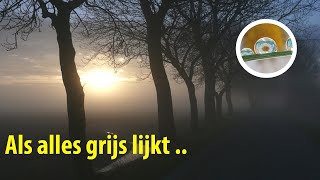 Stap in het licht als de wereld om je heen grijs en grauw lijkt [upl. by Analiese]