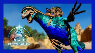 The Boss Armies Breeding Update ep 39 arksurvivalascended playark [upl. by Hadria]