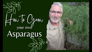 How to Grow Asparagus [upl. by Alleahcim]