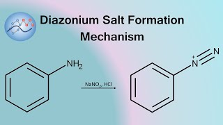 Diazonium Salt Formation Mechanism  Organic Chemistry [upl. by Petulia]