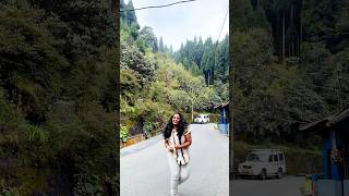 Dancing on Darjeeling roads 🤩  nature darjeeling pralitalks trendingshorts travel telugu [upl. by Emaj364]