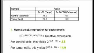 Real Time QPCR Data Analysis Tutorial part 2 [upl. by Boonie211]