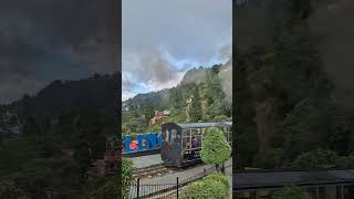 Darjeeling train 😍 darjeeling train toytrain toytrain india subscribe trending [upl. by Allista]