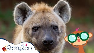 StoryZoo  Op avontuur in de Dierentuin  Hyena  Educatieve videos voor kinderen  storyzoo [upl. by Magulac]