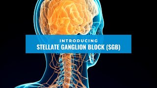 Stellate Ganglion Block SGB  Dr Shounuck Patel [upl. by Ralip]