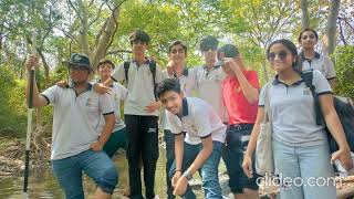 IGCSE Geography Field Work [upl. by Arayc994]