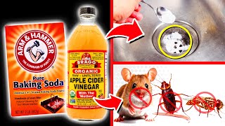 10 POWERFUL Baking Soda amp Vinegar Hacks To Get Rid Of Clogged Drains Pests Stains amp MORE [upl. by Christoper]