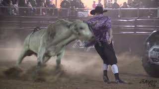 Bullfighters Only Austin Highlight Reel [upl. by Lunsford]