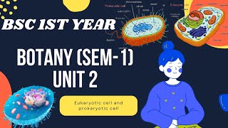 Bsc 1st year Botany Sem1 Unit 2 Microbial World eukaryotic and prokaryotic cell [upl. by Rainah]