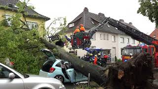 Sturm Baum stürzt in Northeim auf Auto  Feuerwehr im Einsatz [upl. by Clova]