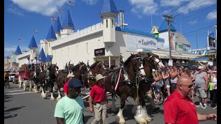 Budweiser Clydesdales Follow the Hitch Seaside Heights [upl. by Htaeh]