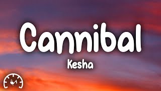 Kesha  Cannibal Lyrics [upl. by Eninotna]