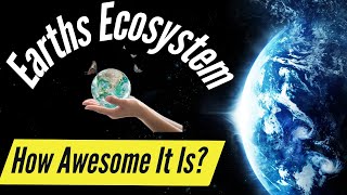 How You Can Help the Ecosystem [upl. by Allets60]