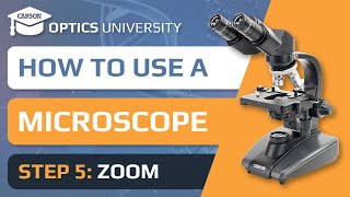 How to Use a Microscope  Step 5 Zoom  Optics University [upl. by Vahe446]