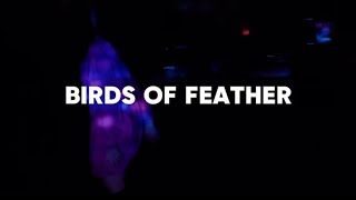 Billie eilish  Birds of feather Sub español Ale Moreno [upl. by Uta]