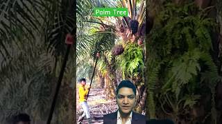 Ye Kya Hai  😱😱😱😱 shorts viral palm [upl. by Rehotsirk946]