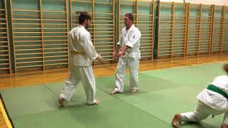 Goshindo Training 2722018  1 [upl. by Kathye]