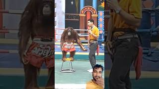 अंडे फूट गए रे 😄😂  Chhota Rajpal Yadav  DJ Daru song funny comedy reels monkey prank magic [upl. by Dar]