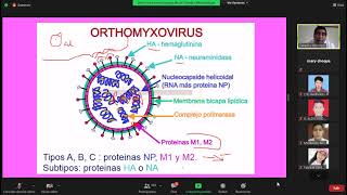 VIRUS DE LA INFLUENZA Y PARAINFLUENZA [upl. by Angadresma613]