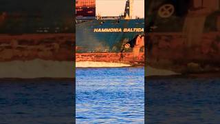 BULBOUS BOW WAVE FULL SPEED🌊🌊 ship giant huge waves incredible omg containship live [upl. by Luing]