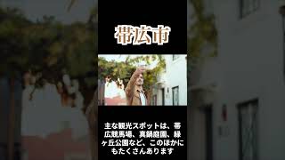 【帯広市】フリーのVrewで超簡単に北海道の市町村を紹介するだけのショート動画 Shorts [upl. by Yssac952]