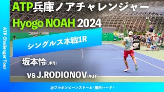 超速報【兵庫ノアCH20241R】JRODIONOVAUT vs 坂本怜JPN 2024 兵庫ノアチャレンジャー シングルス1回戦 [upl. by Ilse]