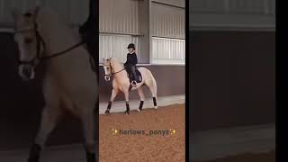 Harlow riding Lola 😍 dressage harlowandpopcorn harlow harlowedits harlowfan [upl. by Alletse]