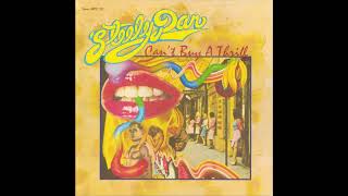 Steely Dan  Do It Again Remastered Audio HQ [upl. by Ahsilat157]