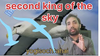 second king of the sky sky trending facts [upl. by Yenattirb99]