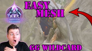 Easiest Way to Mesh Aberration  Time To Make a Mesh Base  Wildcard Fix Your Game [upl. by Guod592]