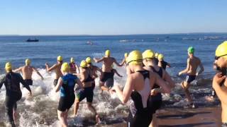 Swimmers jump in at start of Staten Island Triathlon [upl. by Nauqyt]