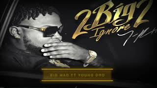 TRell  Big Mad Visualizer feat Young Dro [upl. by Berton]