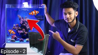 How to Make Small Marine aquarium [upl. by Isaak315]