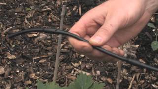 Pinolex automatic drip irrigation system for Home gardening [upl. by Eidac945]