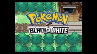 Relaxing Pokémon Black amp White Music to RelaxStudySleep to [upl. by Innig]