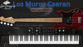 🎸Los Muros Caerán  Miel San Marcos 🎶 Bajo  Bass  Piano 🎹 Tablatura 🎼 Tutorial [upl. by Kipton]