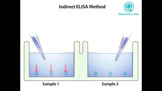 indirect ELISA method microbiology elisabiology neetmpmsu bmlt nursing PWFoundation [upl. by Augustine]