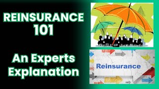 Reinsurance 101 [upl. by Nal]