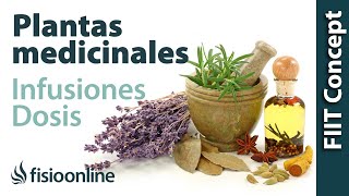 Tratamiento con plantas medicinales  Cómo hacer la infusión dosis y duración de un tratamiento [upl. by Sunday]